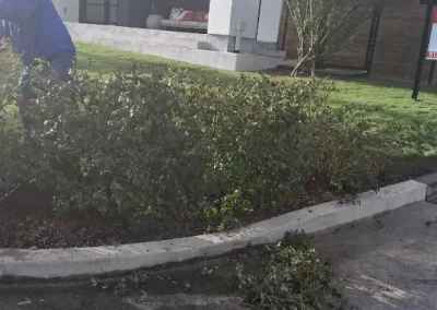 Landscaping Contractor