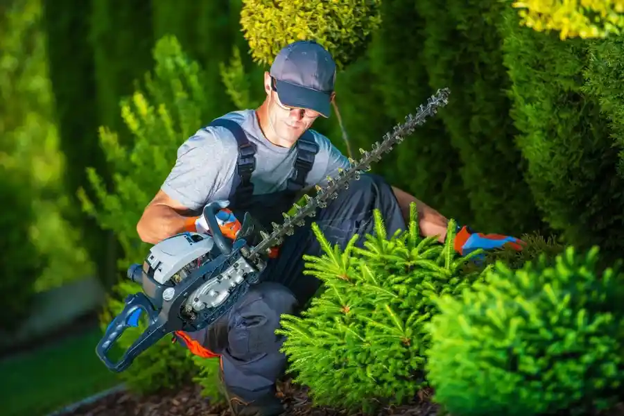 Trusted Landscaper